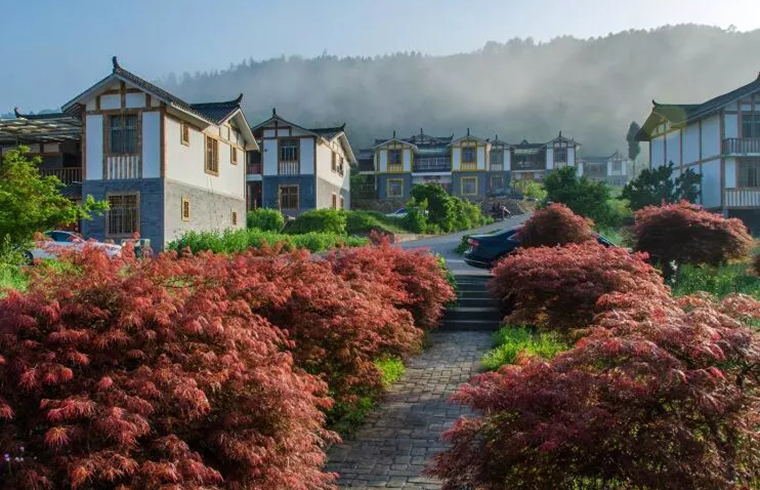 彩色產(chǎn)業(yè)風(fēng)景區(qū)