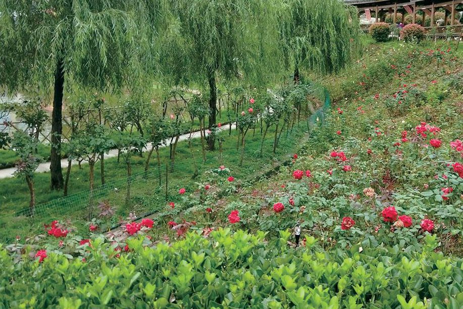 讓“七彩”更出彩 長(zhǎng)灘村不斷豐富4A級(jí)景區(qū)內(nèi)涵