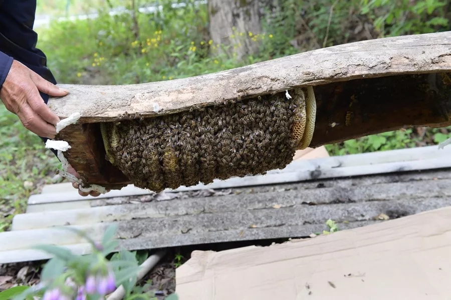 打個(gè)總結(jié)，速度圍觀，蒲江對(duì)口幫扶瀘定遞出一份漂亮的階段性“成績(jī)單”~
