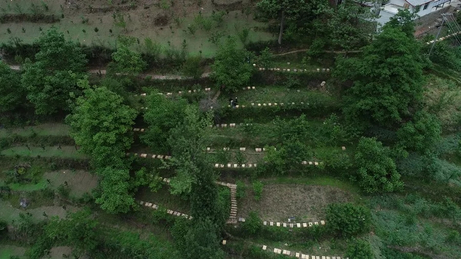 打個(gè)總結(jié)，速度圍觀，蒲江對(duì)口幫扶瀘定遞出一份漂亮的階段性“成績(jī)單”~