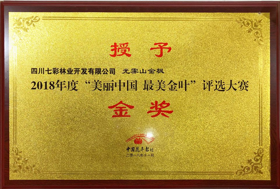 光霧山金楓獲2018“美麗中國 最美金葉”評選大賽金獎