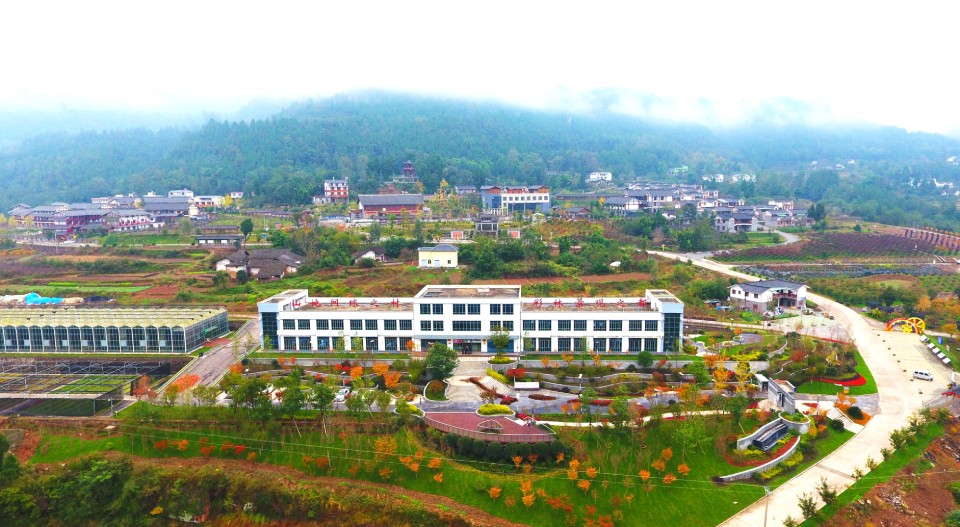 巴中兩村實(shí)踐七彩模式，齊榮膺2019四川鄉(xiāng)村振興戰(zhàn)略示范村！