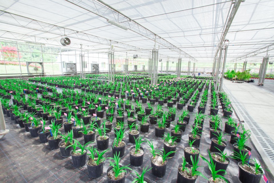 巴中兩村實(shí)踐七彩模式，齊榮膺2019四川鄉(xiāng)村振興戰(zhàn)略示范村！