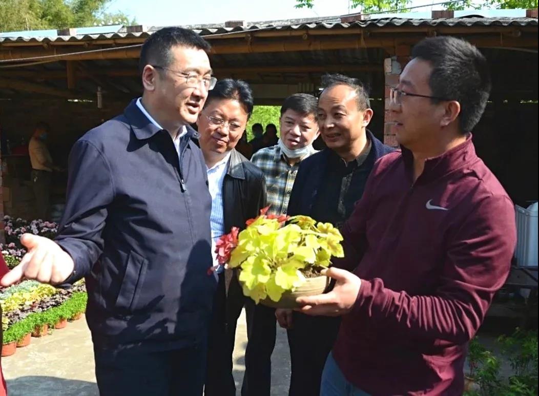 聚焦七彩 |成都市高新區(qū)管委會(huì)主任余輝調(diào)研七彩林科產(chǎn)業(yè)扶貧項(xiàng)目