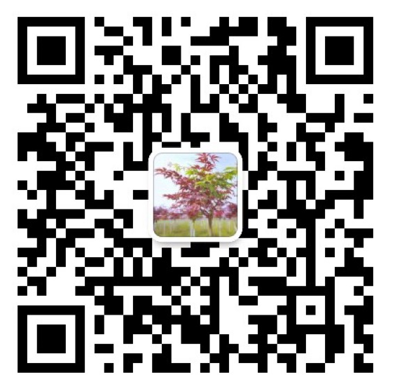 七彩苗木|無(wú)懼環(huán)境壓力，藤本植物界“顏值硬漢”正當(dāng)紅