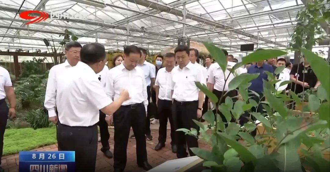 聚焦七彩|四川省委書記彭清華調(diào)研巴州區(qū)中藥材現(xiàn)代農(nóng)業(yè)園區(qū) 聚焦七彩|四川省委書記彭清華調(diào)研巴州區(qū)中藥材現(xiàn)代農(nóng)業(yè)園區(qū)