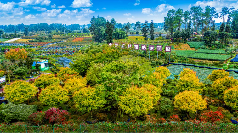 七彩服務(wù)|探索城市園藝新路徑 七彩服務(wù)|探索城市園藝新路徑