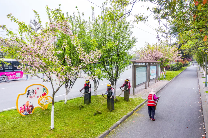 七彩服務(wù)|探索城市園藝新路徑 七彩服務(wù)|探索城市園藝新路徑