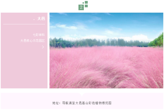 國(guó)慶去哪兒？來(lái)解鎖最夢(mèng)幻的粉色之旅
