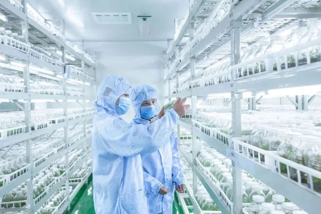 聚焦七彩|“國家花卉工程技術研究中心彩葉植物創(chuàng)新中心(西南)”隆重揭牌 聚焦七彩|“國家花卉工程技術研究中心彩葉植物創(chuàng)新中心(西南)”隆重揭牌