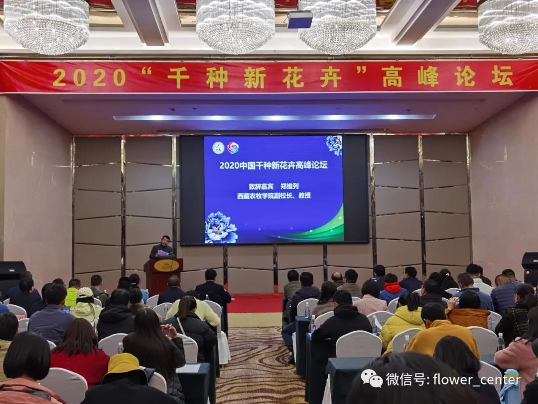 謝松林博士出席2020中國“千種新花卉”高峰論壇 謝松林博士出席2020中國“千種新花卉”高峰論壇