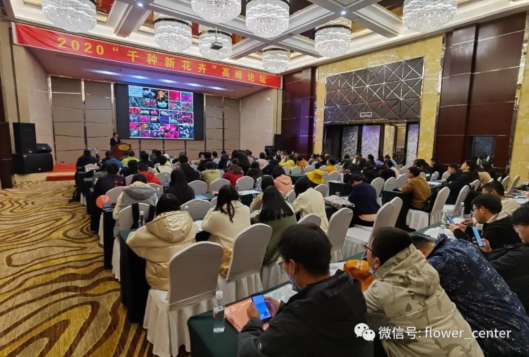 謝松林博士出席2020中國“千種新花卉”高峰論壇 謝松林博士出席2020中國“千種新花卉”高峰論壇