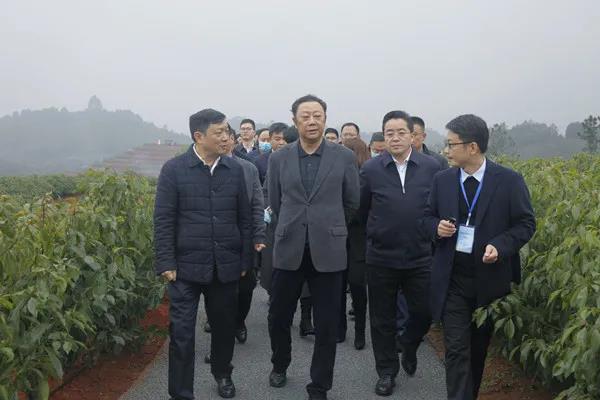 全省竹林風景線暨林業(yè)園區(qū)建設現(xiàn)場會在宜賓召開 全省竹林風景線暨林業(yè)園區(qū)建設現(xiàn)場會在宜賓召開