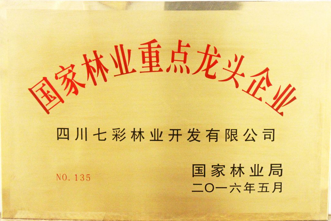 國家林業(yè)重點(diǎn)龍頭企業(yè)