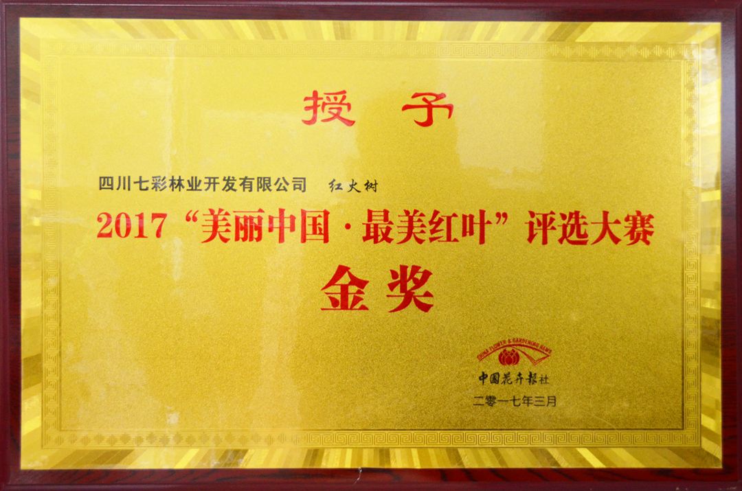 紅火樹－珊瑚閣獲“美麗中國·最美紅葉”評(píng)選大賽金獎(jiǎng)