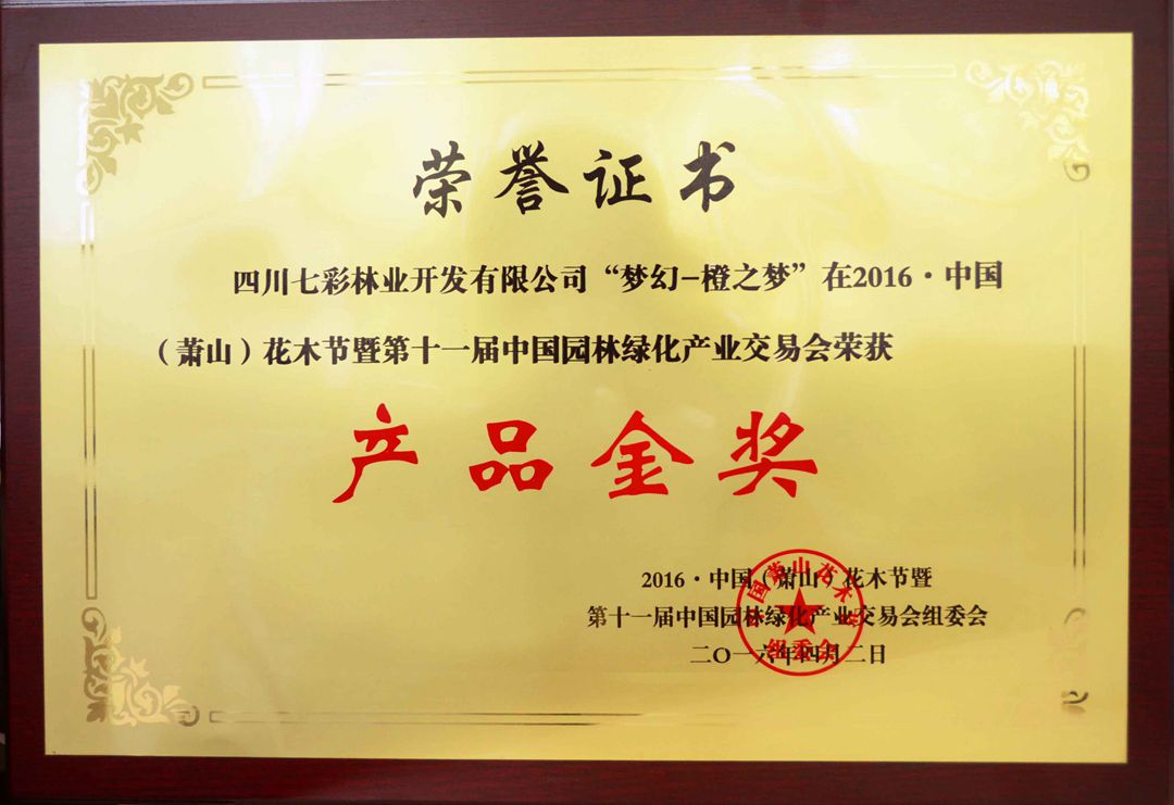 夢(mèng)幻－橙之夢(mèng)獲蕭山花木節(jié)產(chǎn)品金獎(jiǎng)