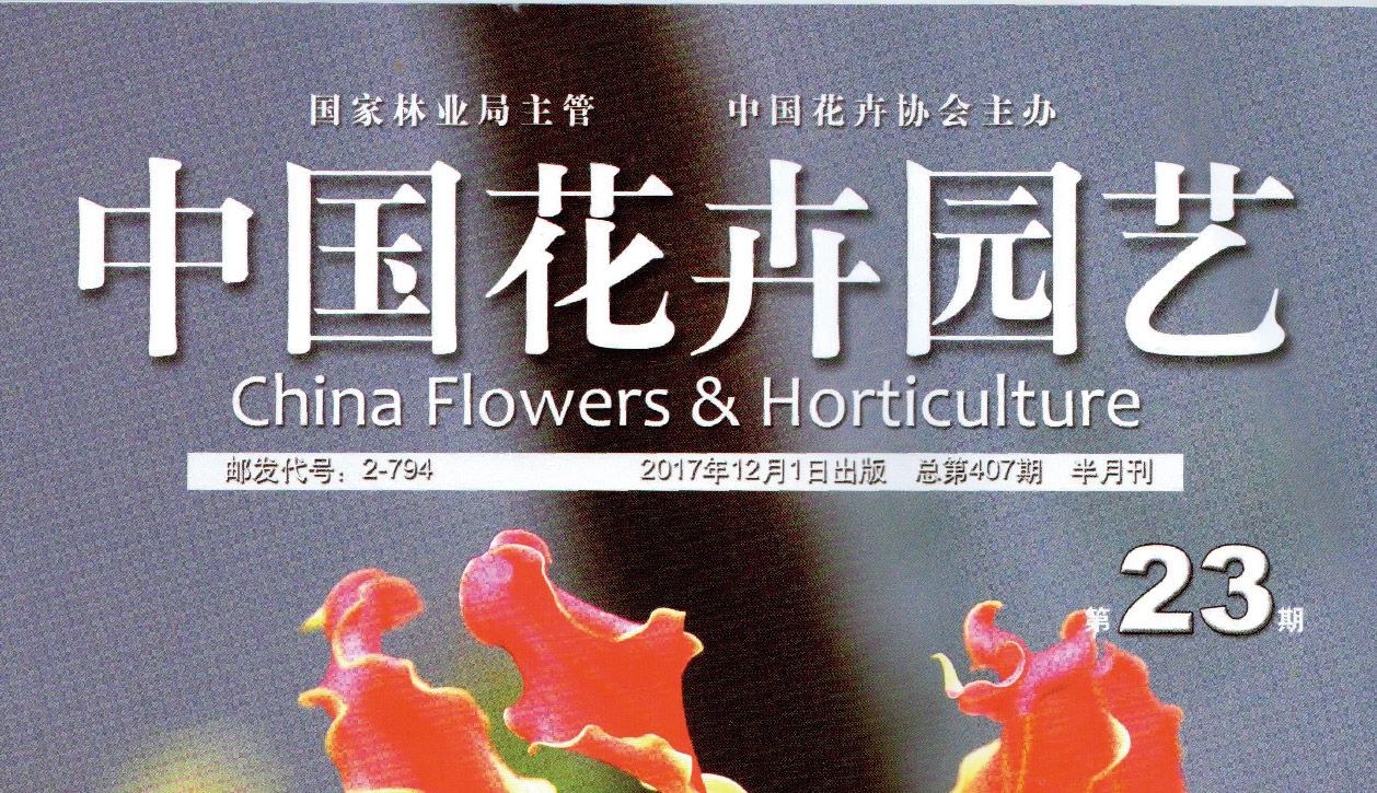 王明理：為“增花添彩”的夢想執(zhí)著前行