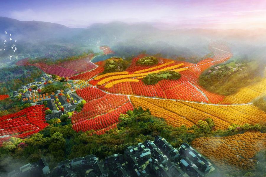 鄉(xiāng)村振興｜向峨彩色小鎮(zhèn)開建 今年秋天就可以到都江堰來看彩林！