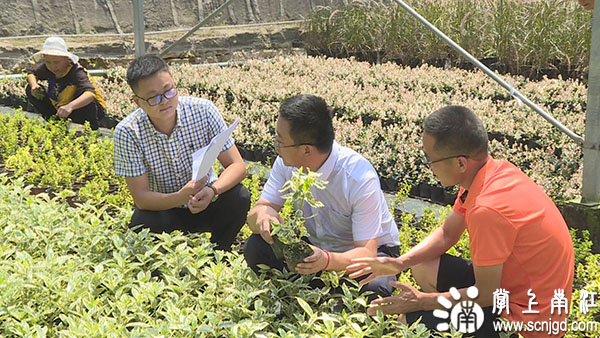 1535014604437653.jpg Still0823_00001.jpg