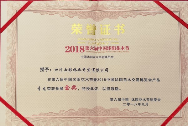 青龍獲2018第六屆中國·沭陽花木節(jié)產(chǎn)品金獎(jiǎng) 青龍獲2018第六屆中國·沭陽花木節(jié)產(chǎn)品金獎(jiǎng)