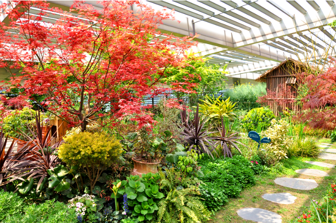 七彩園藝 | 母親節(jié)，給她一份特別的禮物！