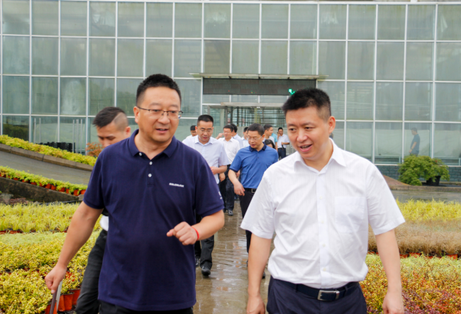 聚焦七彩|團(tuán)省委書記張榮帶隊(duì)專題調(diào)研七彩林科