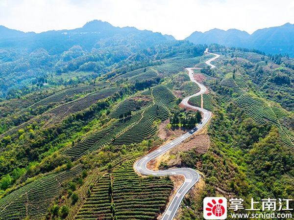 1596789686612260.jpg 1585186795908067.jpg