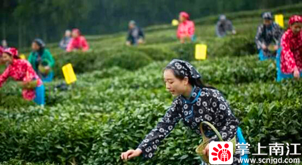 1596789700363367.jpg 1592300010212579.jpg