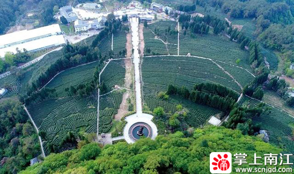 1596789714405289.jpg 1592300019313733.jpg