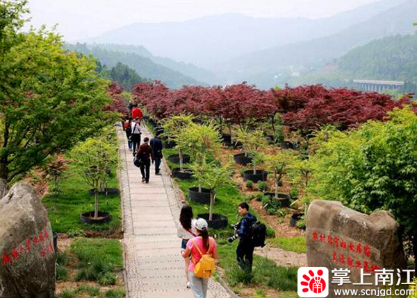 1596789843680445.jpg 1592300129442732.jpg