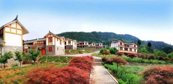 媒體聚焦|巴中市工商業(yè)聯(lián)合會(huì)專題報(bào)道七彩林科精準(zhǔn)扶貧