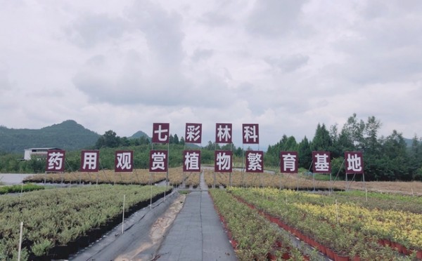 西華大學(xué)與平昌縣人民政府簽署戰(zhàn)略合作框架協(xié)議