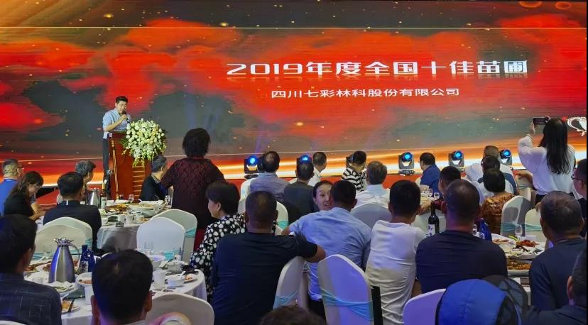 聚焦七彩|金秋豐收！七彩林科再獲全國(guó)十佳苗圃