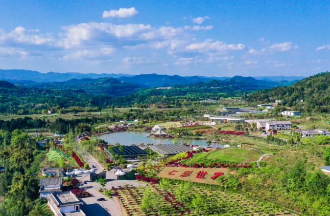 聚焦七彩|七彩苗木持續(xù)助推鄉(xiāng)村振興